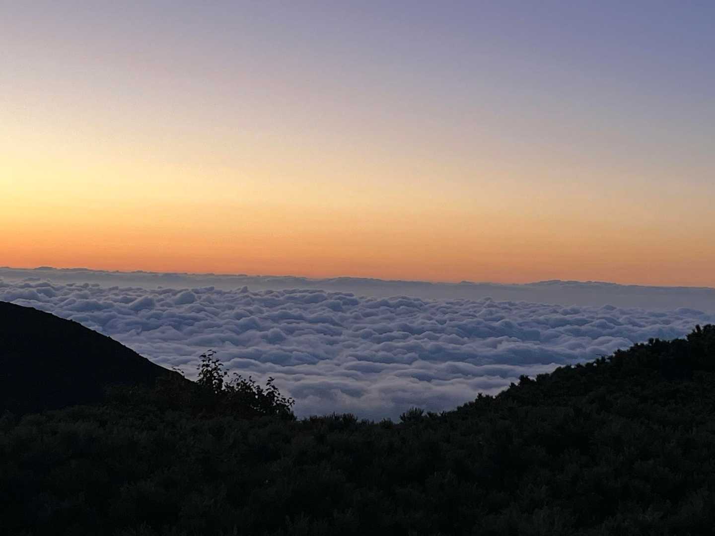 雲海がもくもく☁