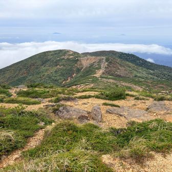奥に鳥海山、月山