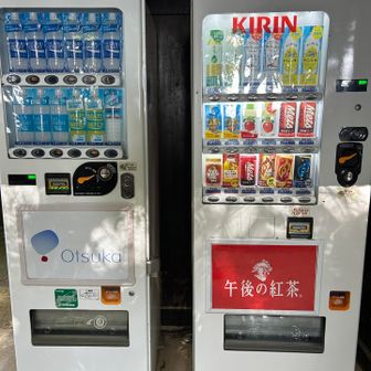 キリンレモンを購入