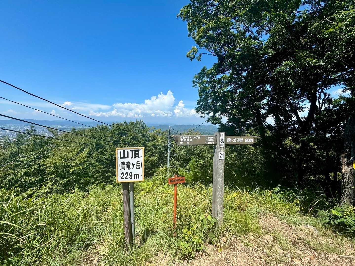 三毳山（青竜ヶ岳）山頂に到着

標高229m

空気が澄んでる冬の晴れた日は、あの雲のあたりに日光連山が望めます

4ヶ月ぶりに来ました