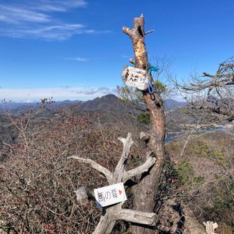 東大岩ヶ岳　馬の背には行かず