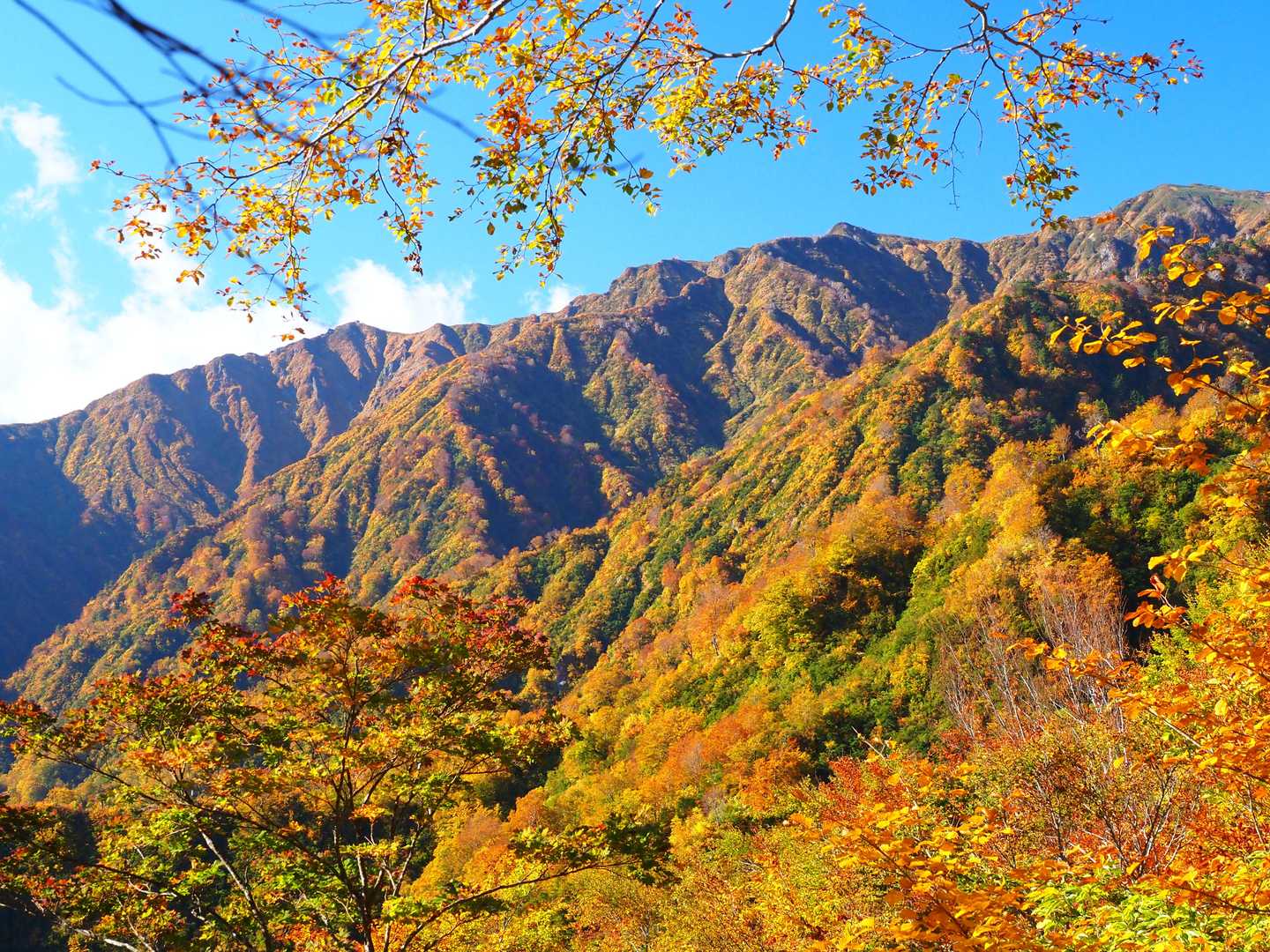 燃える峰々🍁🍁