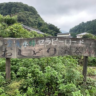 空気・水・緑  セラピーロード
おしどり渓谷入り口
ここで霊山山頂でお会いしたたかちゃんさんのご友人とも再度の離合…🚗🌬️
塚野鉱泉♨️で合流する…😆