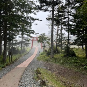 無事かえってきたよ…ガスガス🌫️