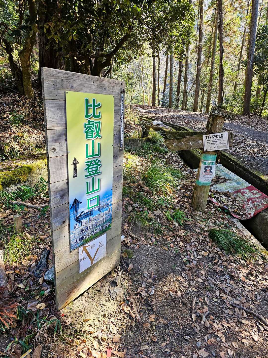 きららから