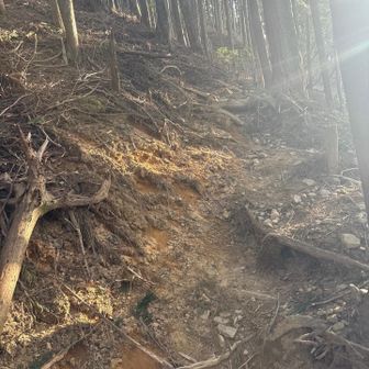 グイグイ💨💨