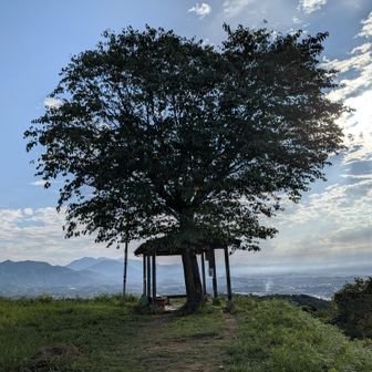 山頂の東屋、雰囲気が良い🤗