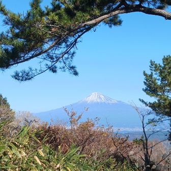 振り返ると完全優勝の予感♪🗻✨