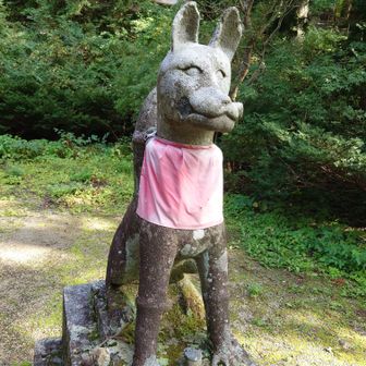 かしゆか好きっす