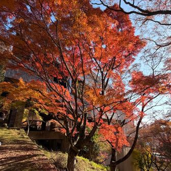 
　
　ほとんどのメンバーが

　馬の背ルートは初めてだったが、

