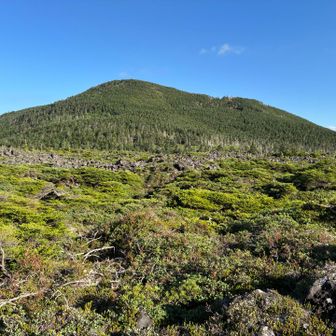 坪庭からの縞枯山