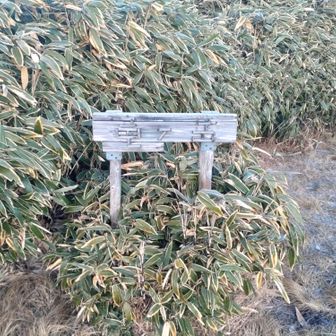 山頂は風があり思ったよりは寒かったです　
ハイドレーションのホースが凍り付き、飲めなくなりました😨