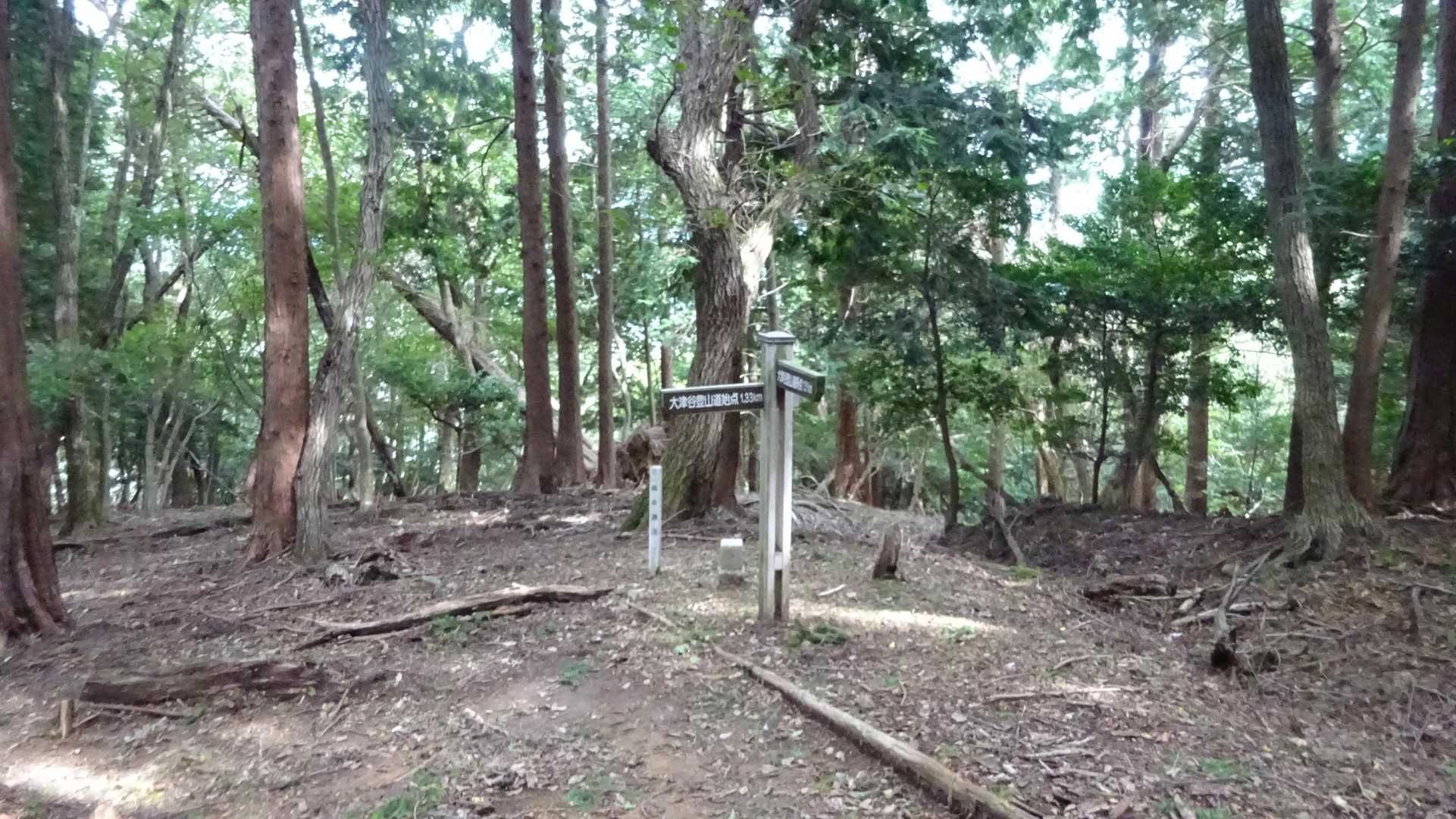 二度目のと～うちゃこ☺✌
基準点種別: 四等三角点
点名:願成寺(513.5m)
基準点コード: TR45336143201