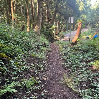 登山口まで降りてきました。
ここまで2度滑りました。滑る時はほんと一瞬😥
これも予想通りでした😅
ザックとズボンを汚してしまった