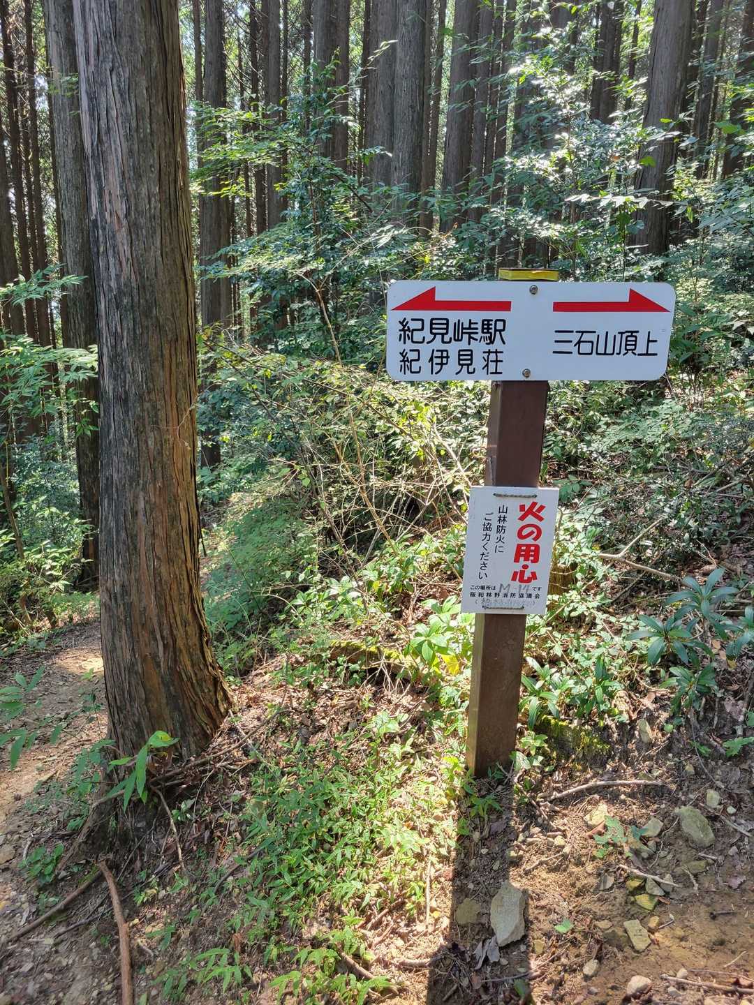 頂上目指します