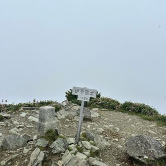 20分ちょっとで伊予富士山頂に到着。小虫がたくさん飛んでいました。