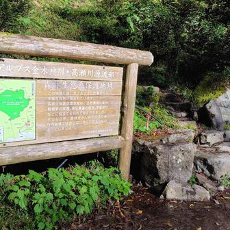 笠新道登山口。
今日は水がしっかり出ていました。