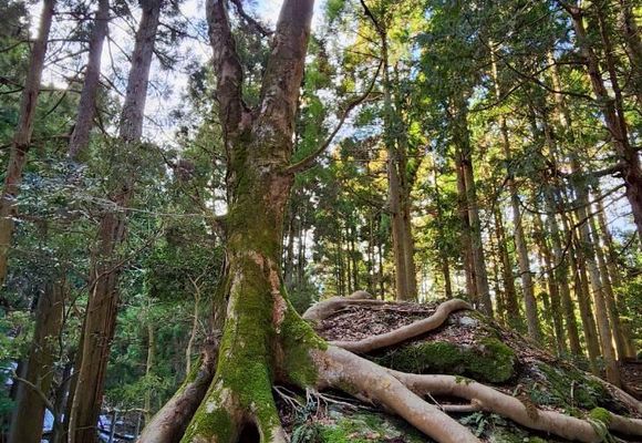 関連する活動日記 | YAMAP / ヤマップ