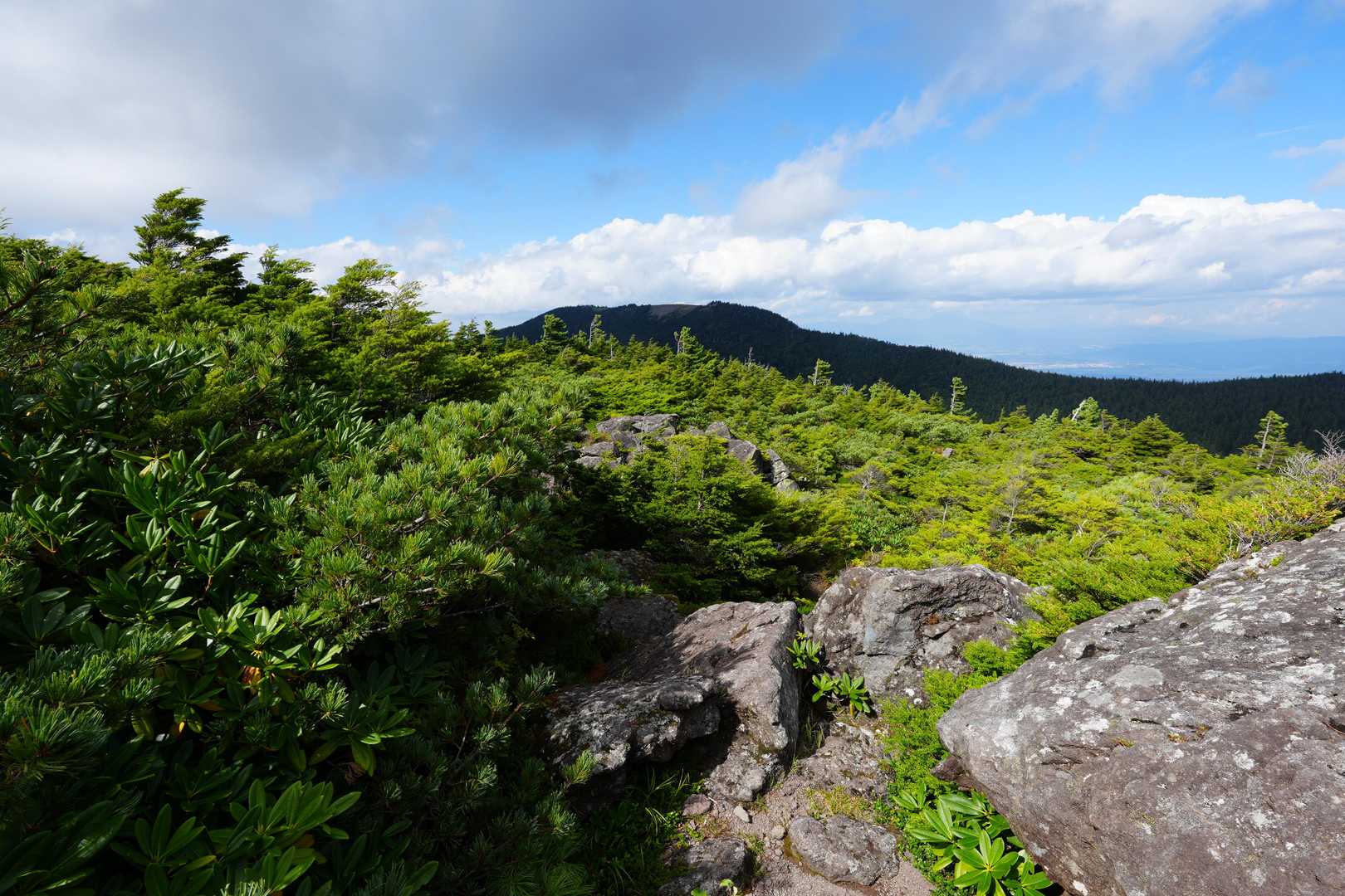 大河原峠-蓼科山-北横岳-大岳-双子山 周回コースの写真