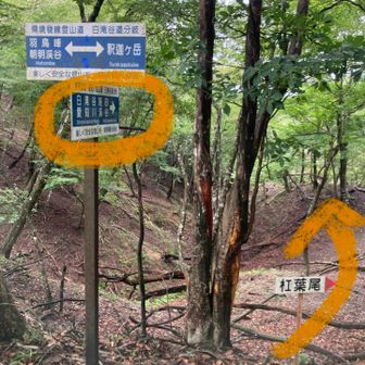 愛知川（神崎川）に突き当たるまで、ひたすら登山道を歩くことに。

途中、先を歩くリーダーの足にヒルが3匹ぶら下がっていたので取りました😅

うわっ、リーダーかわいそーと思ったけど、それはもちろん他人事ではない🫵ﾄﾞｰﾝ