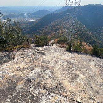 どんどん登ってきます