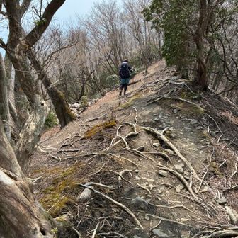 現役登山部のルーちゃん、トレーニングの為ザックに2キロ増しダンベル入れてきましたー😊
私、えっ？😳じゃあ鎌ヶ岳まではやめておこうね😅ってなりました。
