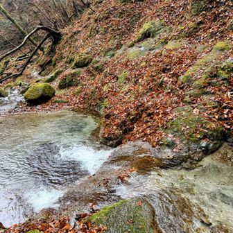 向こう側に見える白いところが岩を削って作られた足場です。
そこを乗り越えて右側に渡渉すると、岩の裏に...