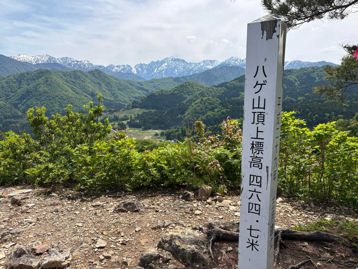 KINGとハゲ山⛰️