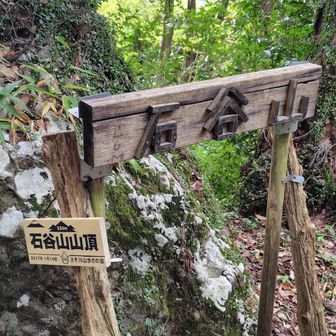 正式名称は石谷山？