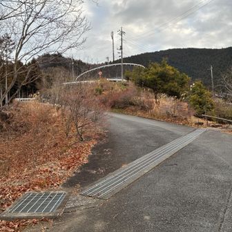 アスファルトを行く