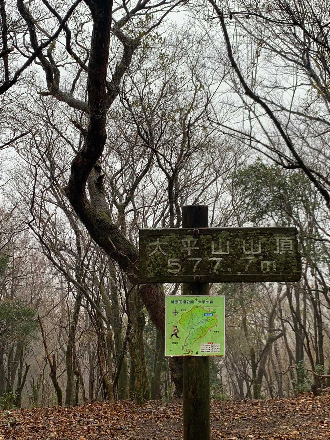 到着したで〜大平山のてっぺん🎵
アルプスのてっぺんやで⛰️