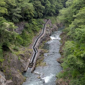 左の階段状のは、魚の為の道です。