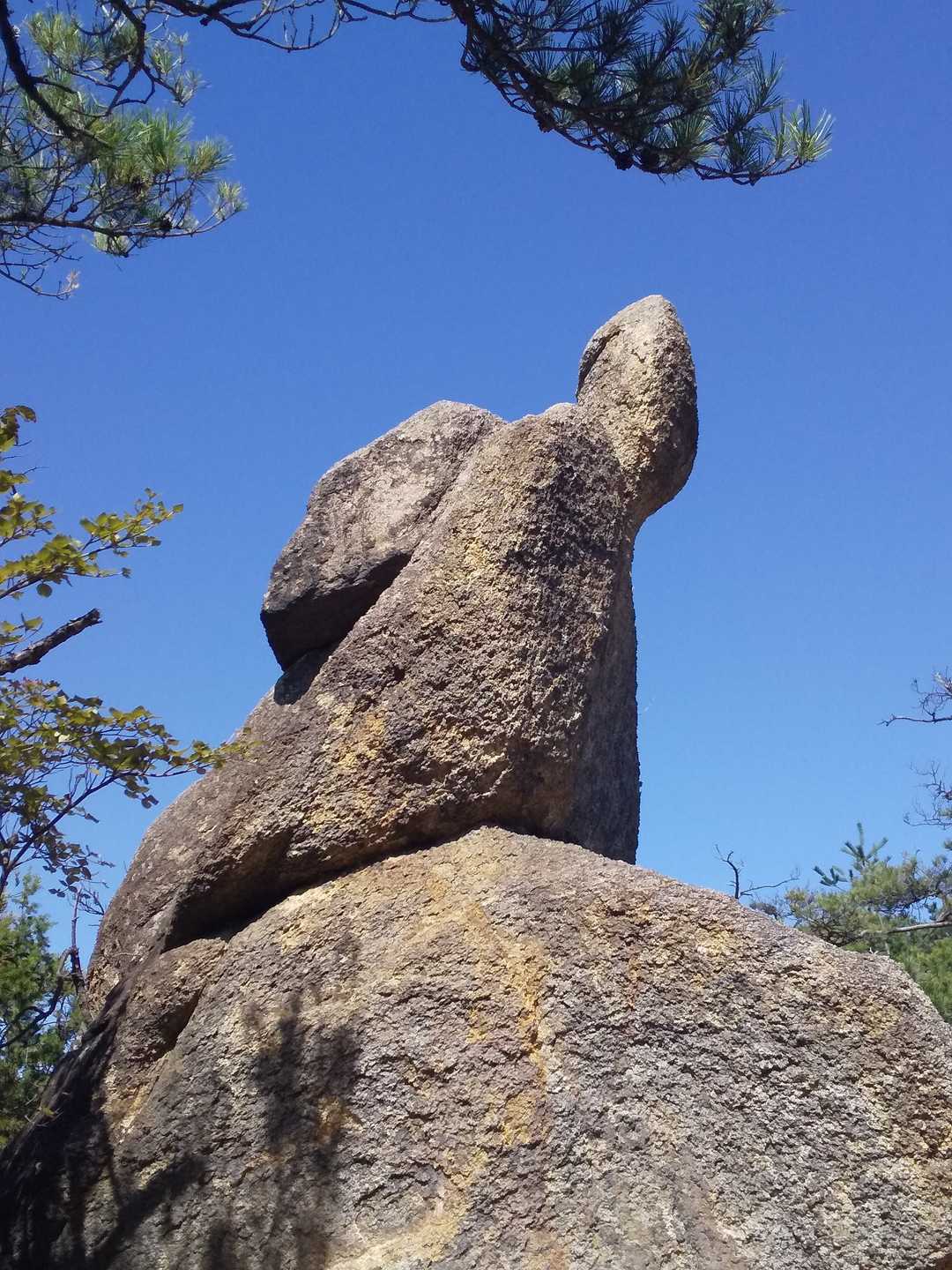 ゾウさん🐘に見えます
パオ～
