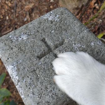 三角点タッチ🐾