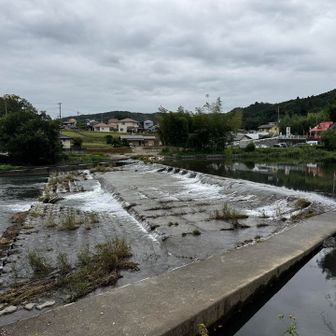 高麗川の鹿台堰。