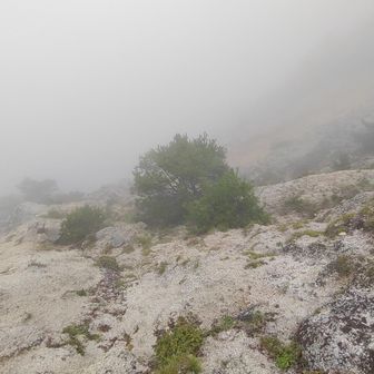 谷底は真っ白ですね～😲　気が済んだので、下山したいと思います😊