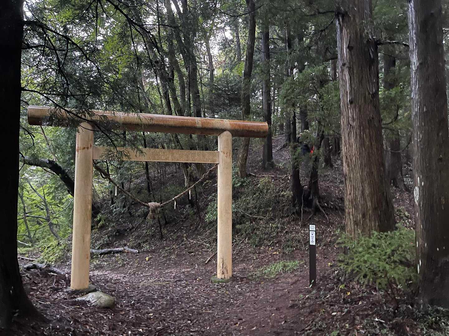 鳥居ありました。
常陸国ロングトレイルの標識あるので、道は分かりやすいです。
