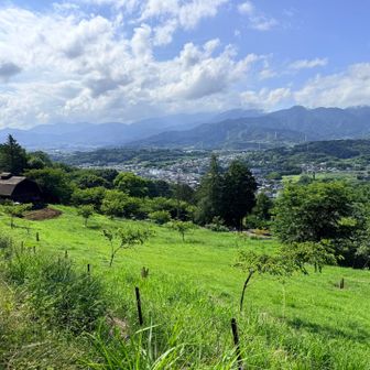 グリーン効果
いい風景😊