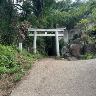 登山スタート🙌