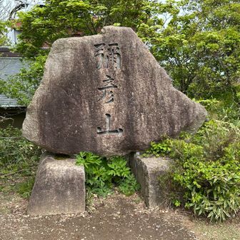 弥彦山山頂標