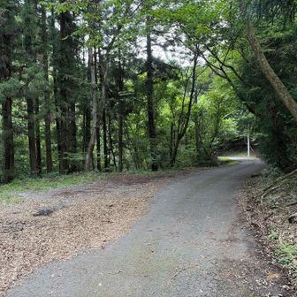 兎岩登山口駐車スペースに帰ってきました。
今日はハイカーに出会わず、
駐車スペースにも僕らの🚙だけでした。