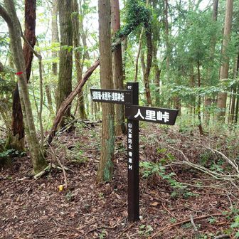 眺望ないので地味ですよね。
休憩所方面に下ります。