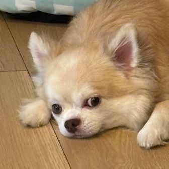 由比ヶ浜