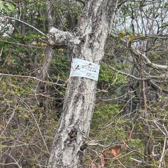 まずはアンテナ山、到着
取りこぼし回収①
エフエム枚方の基地があるのでアンテナ📡山、みたいです
結構急な坂&階段💦
ピストンで下山