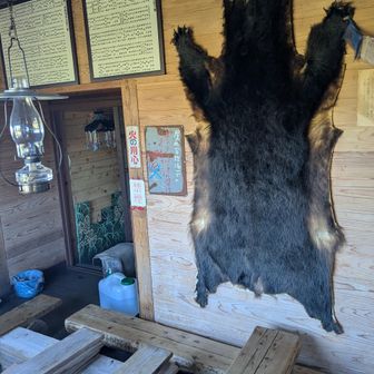 🐻