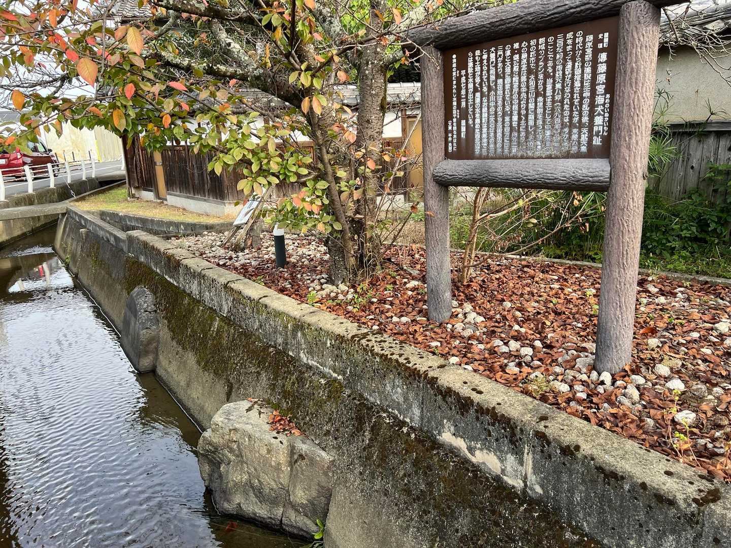 川に突き出ている大石は藤原宮の北西門、海犬養門跡の礎石とのことです
