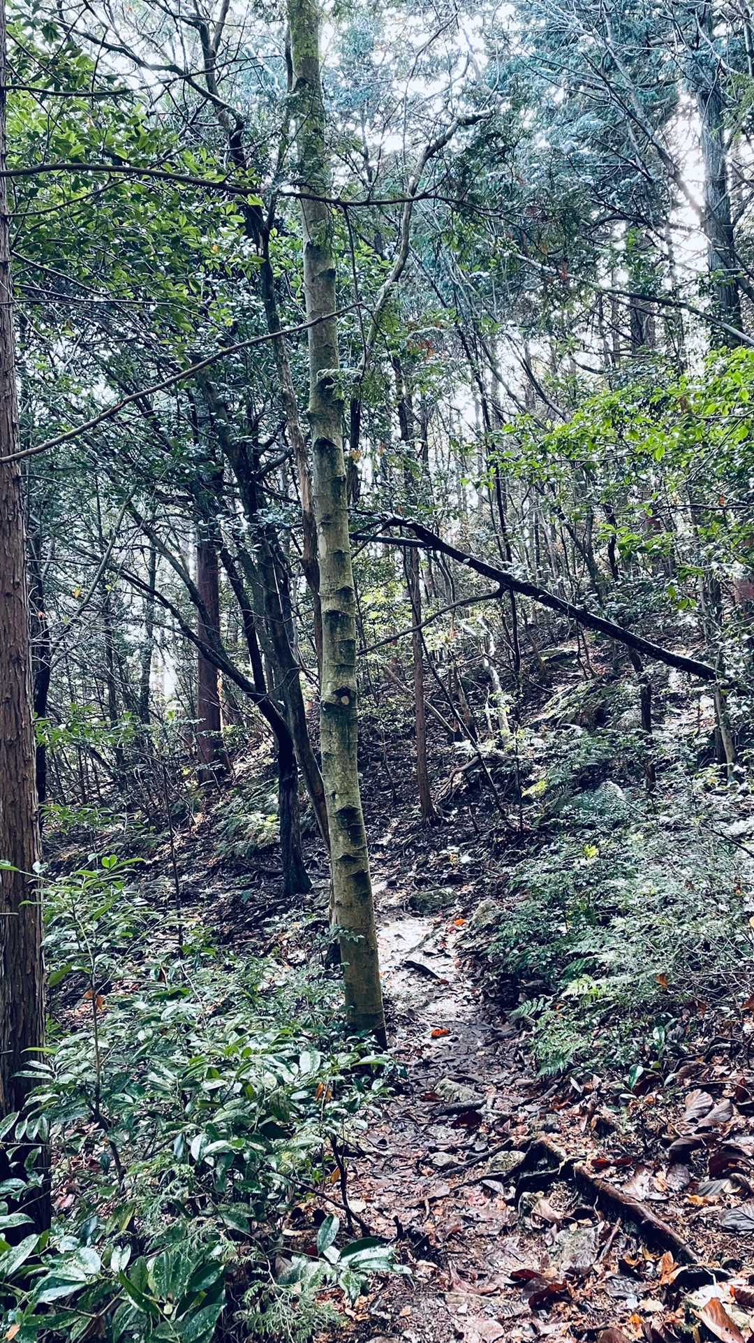 🏃‍♂️