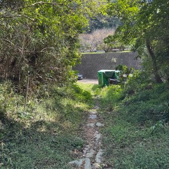 約1時間で下山してきました。お疲れ山でした。