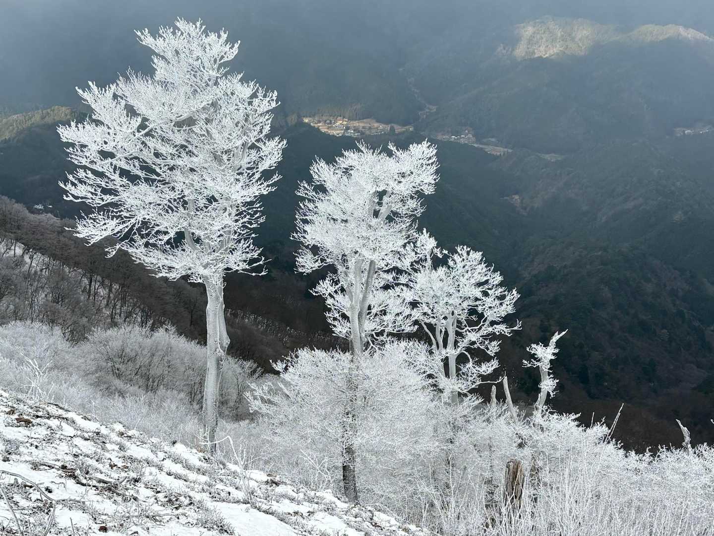 高見峠-高見山 周回コースの写真