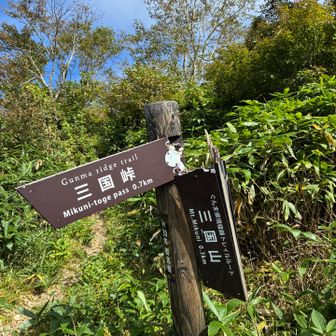 赤かぶとの一撃かな